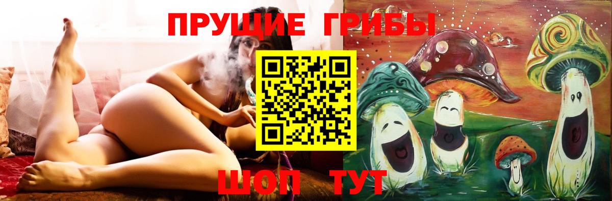 Семёнов  Псилоцибиновые грибы GOLDEN TEACHER  Псилоцибиновые грибы Cubensis  Вход с VPN 